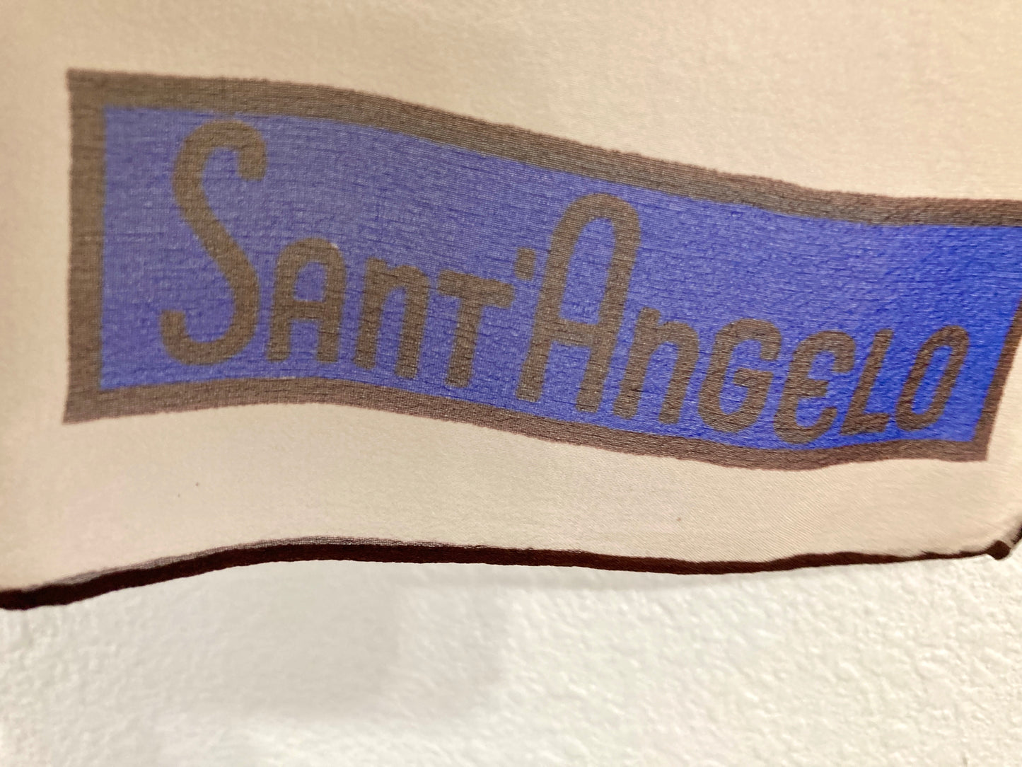 Giorgio Sant Angelo for Sally Gee Sheer Silk Scarf in Blue and Brown