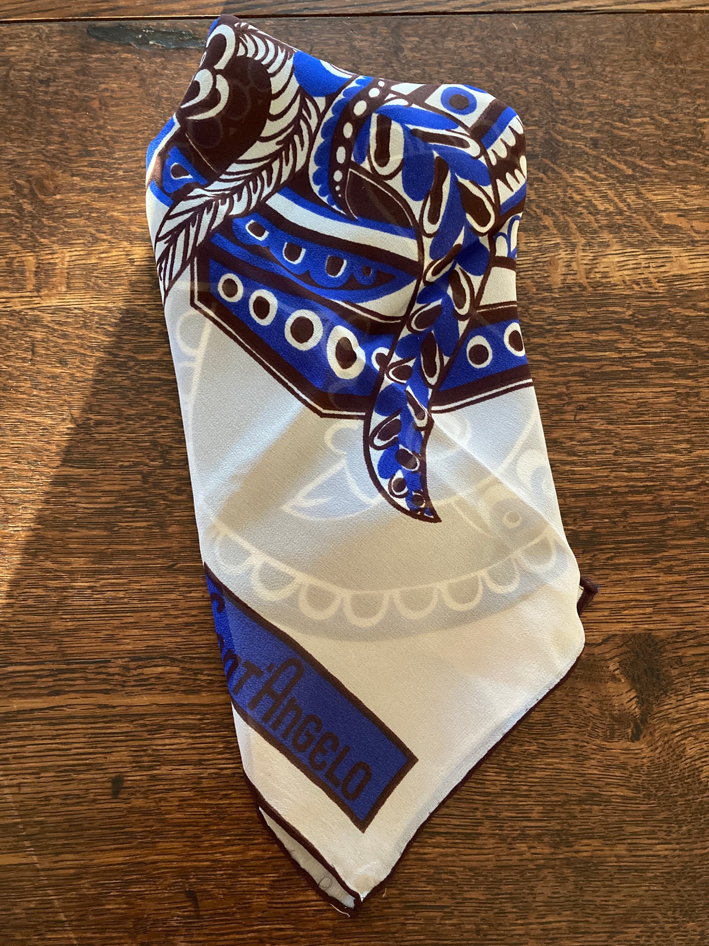 Giorgio Sant Angelo for Sally Gee Sheer Silk Scarf in Blue and Brown