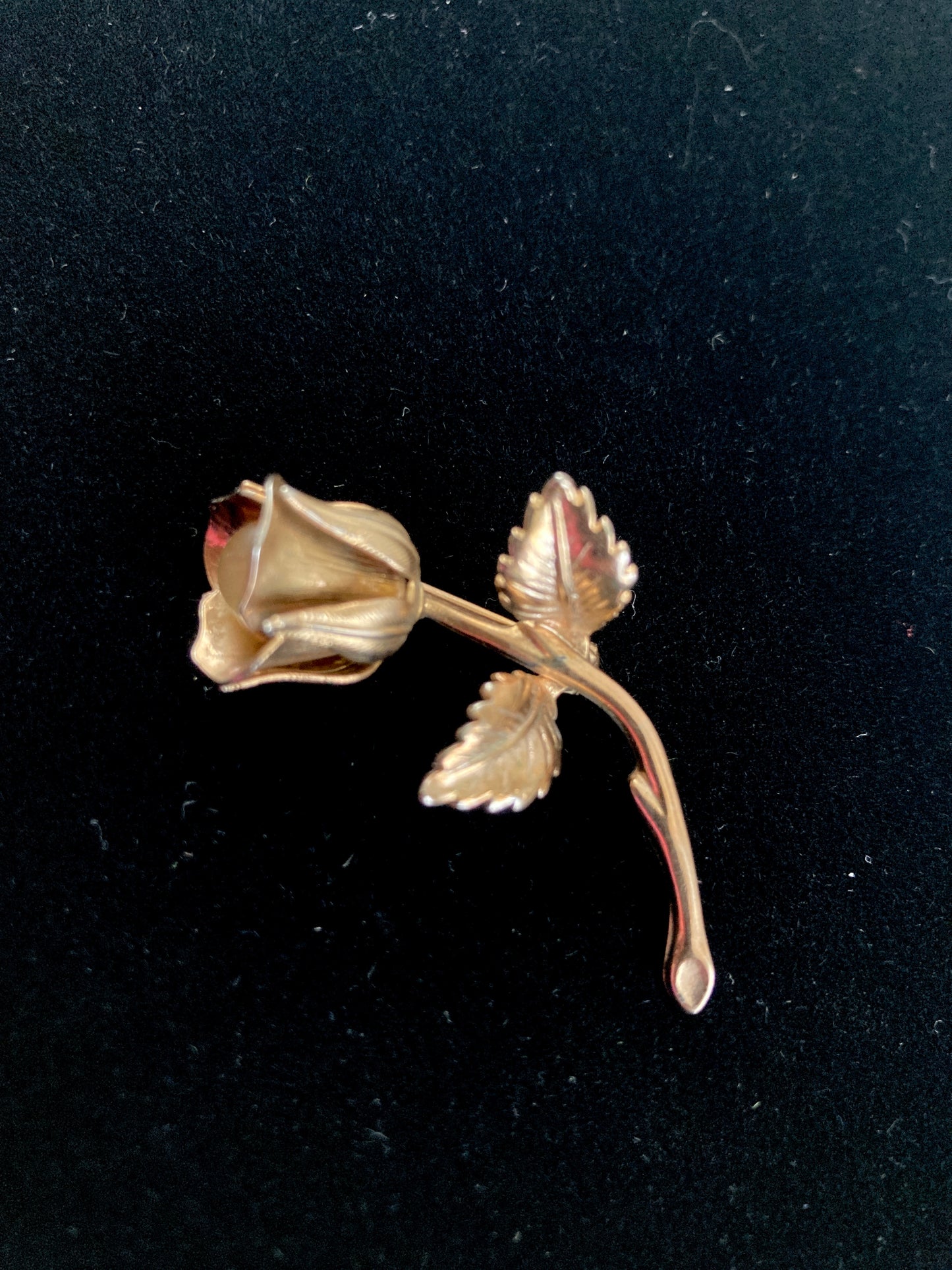 Golden Rose Brooch with Moonglow Center