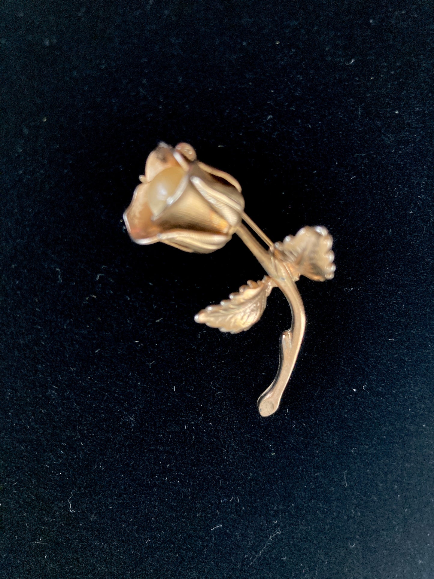 Golden Rose Brooch with Moonglow Center