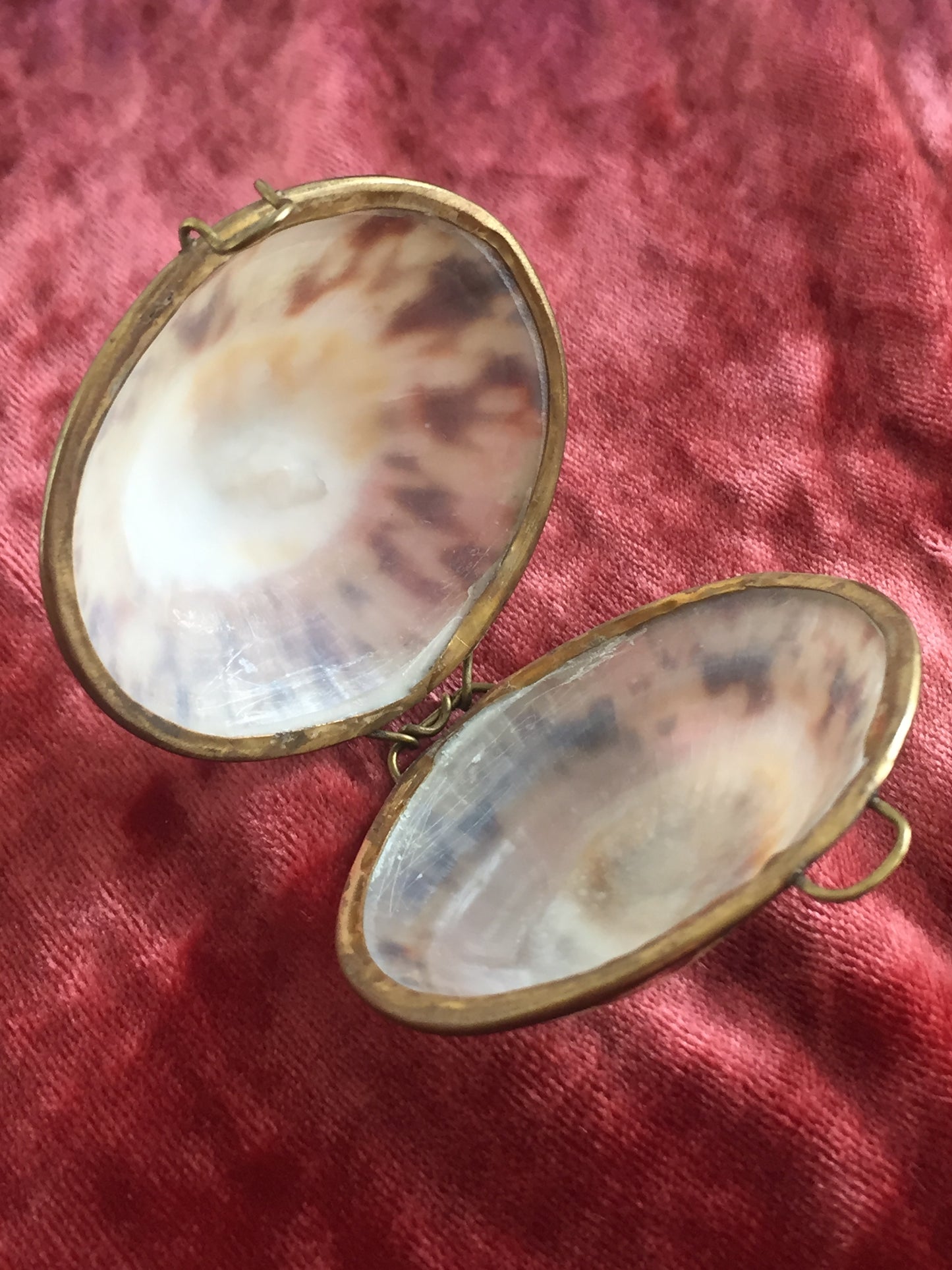 Victorian Shell Coin Purse Antique