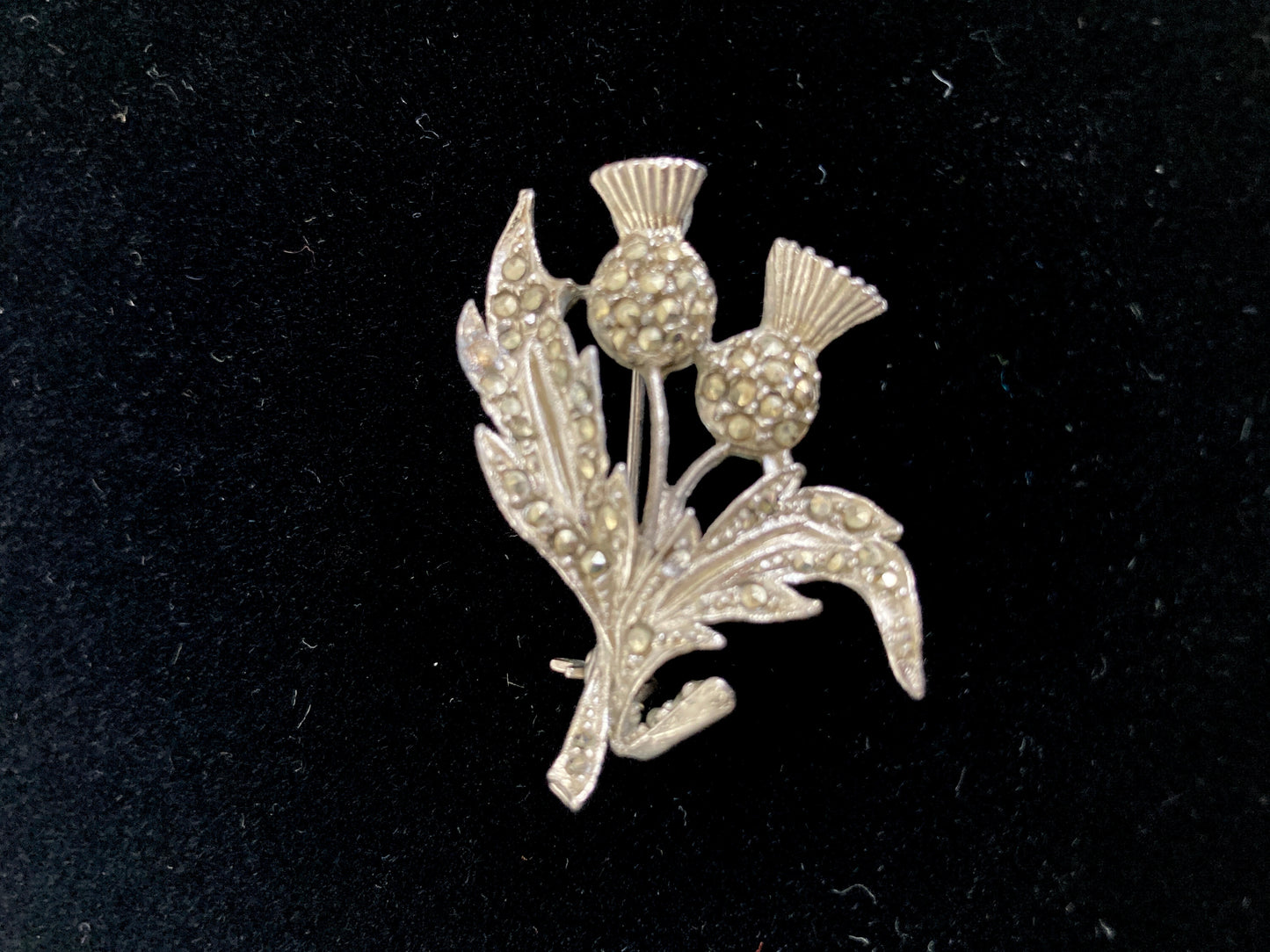 Scottish Thistle Marcasite Brooch Rhodium Plated