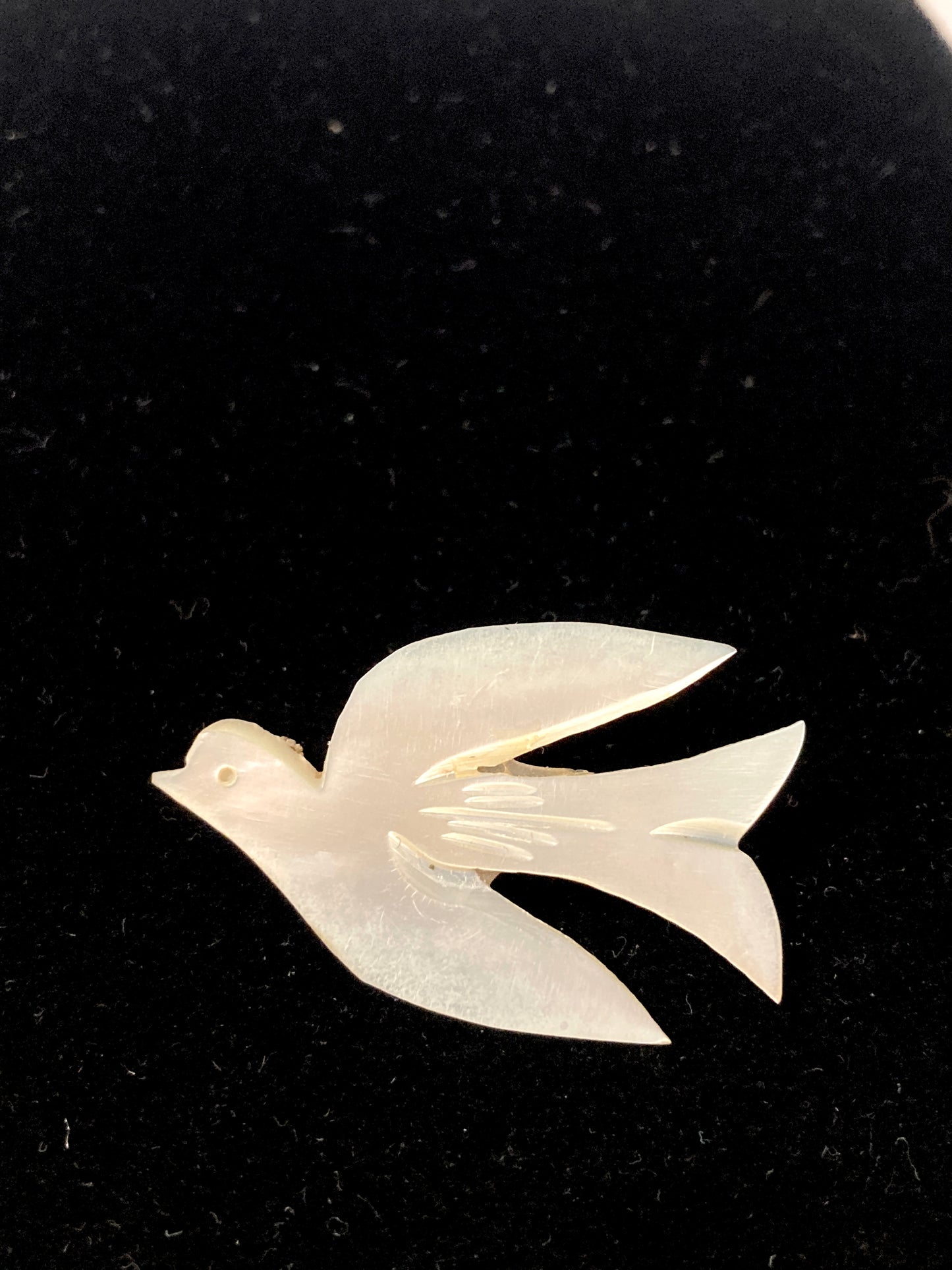 Mother of Pearl Dove Brooch