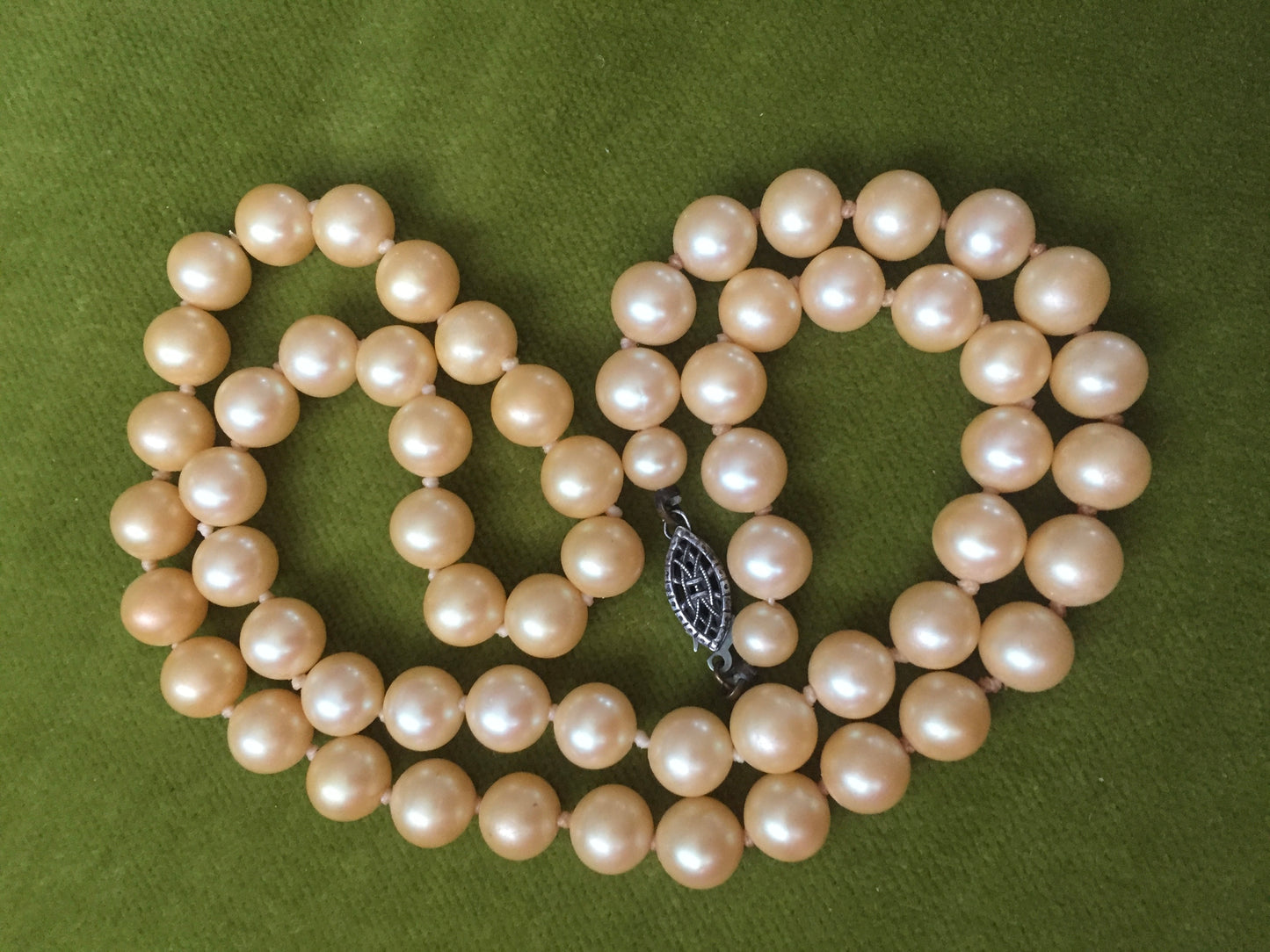 Single Strand Champagne Pearls w/Sterling Clasp