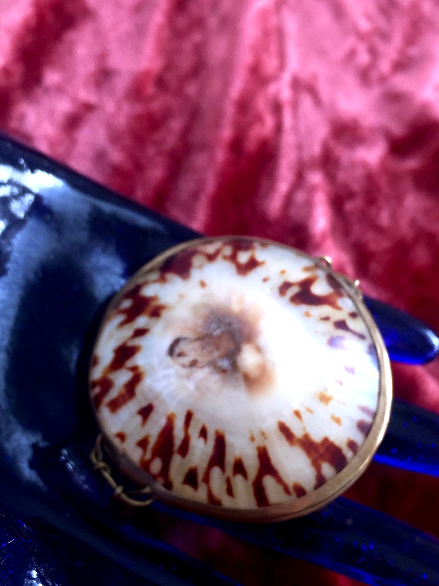 Victorian Shell Coin Purse Antique