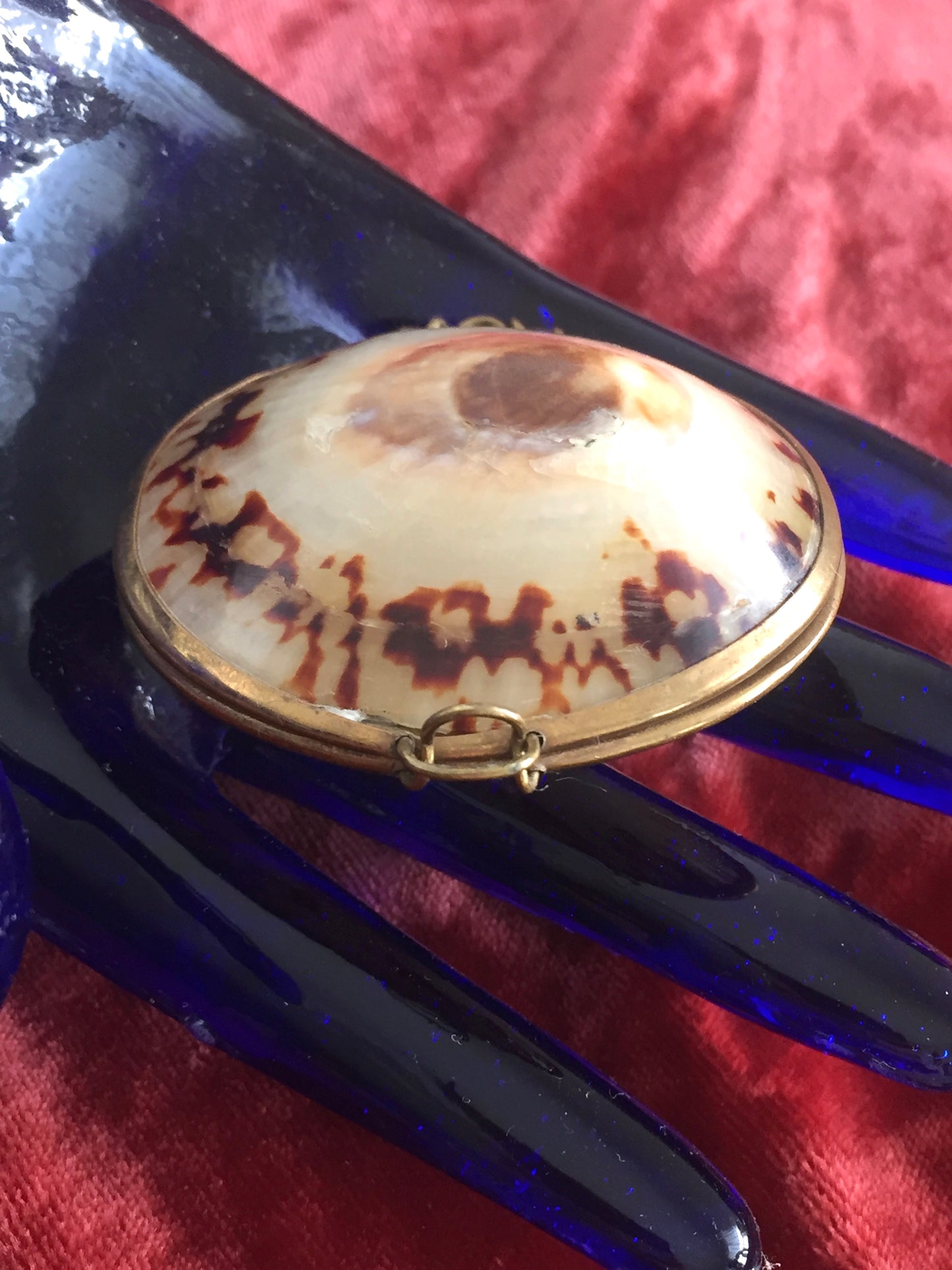 Victorian Shell Coin Purse Antique