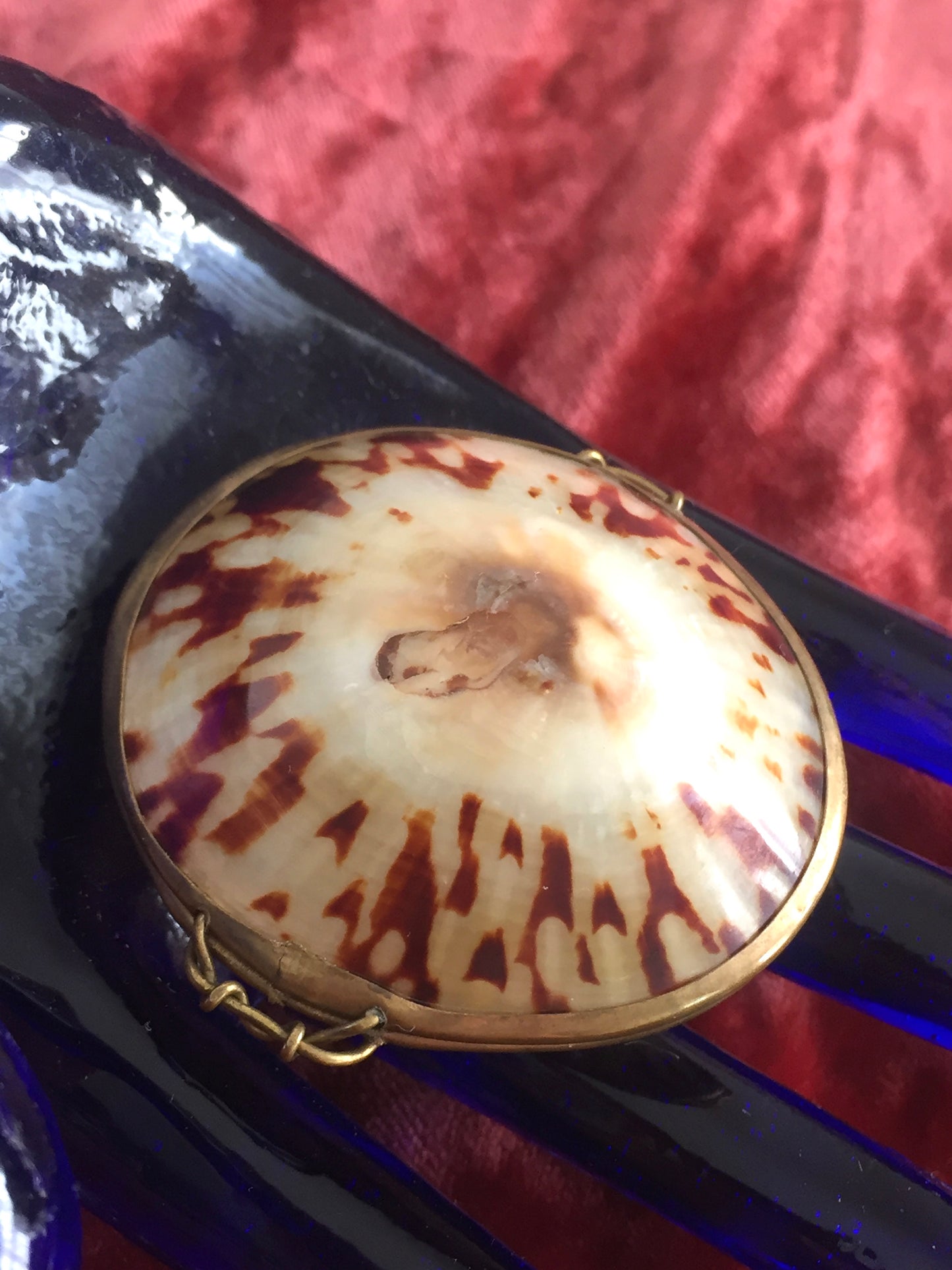Victorian Shell Coin Purse Antique