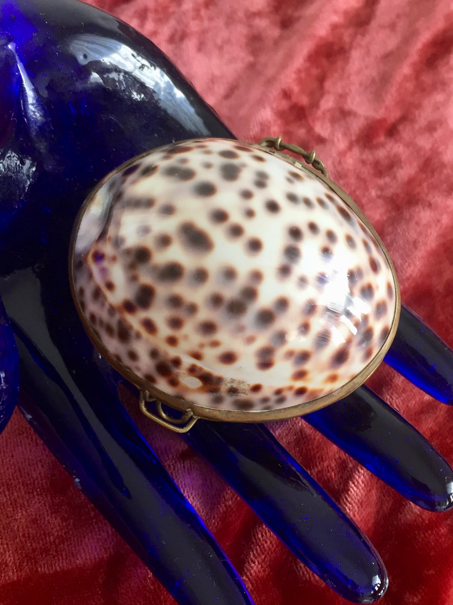 Antique Victorian Shell Coin Purse