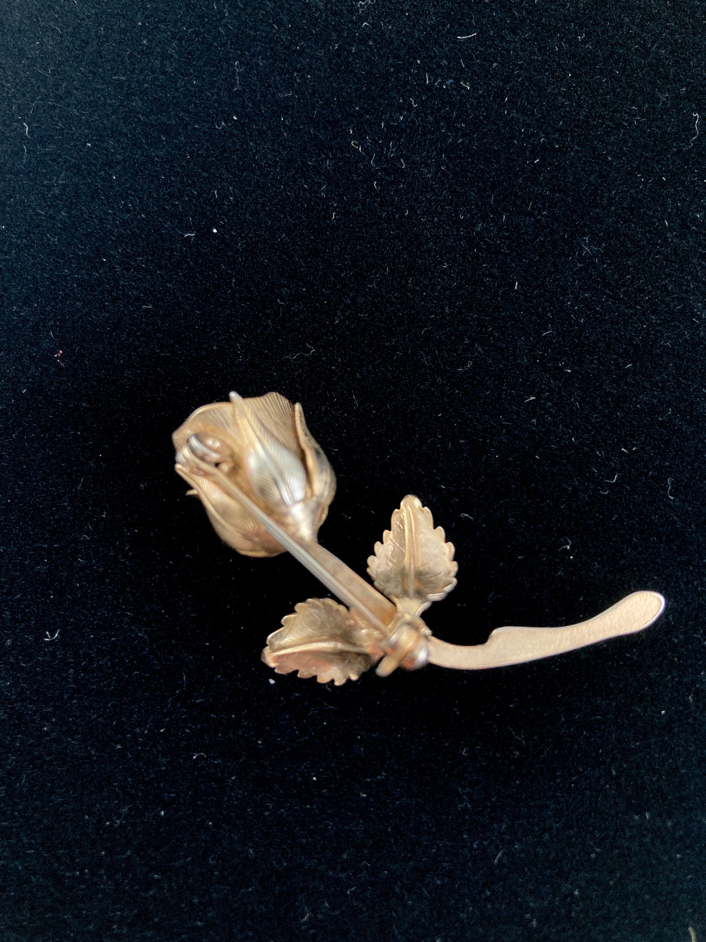 Golden Rose Brooch with Moonglow Center