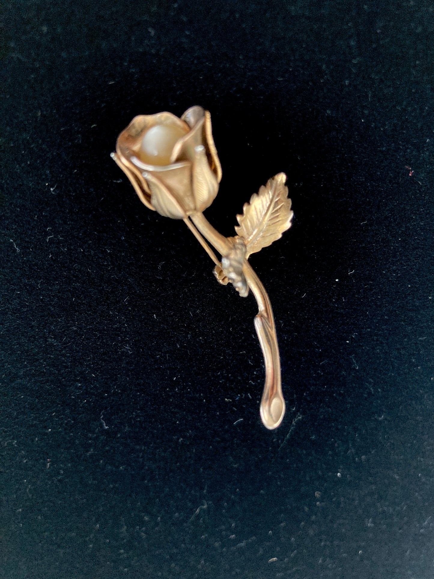 Golden Rose Brooch with Moonglow Center