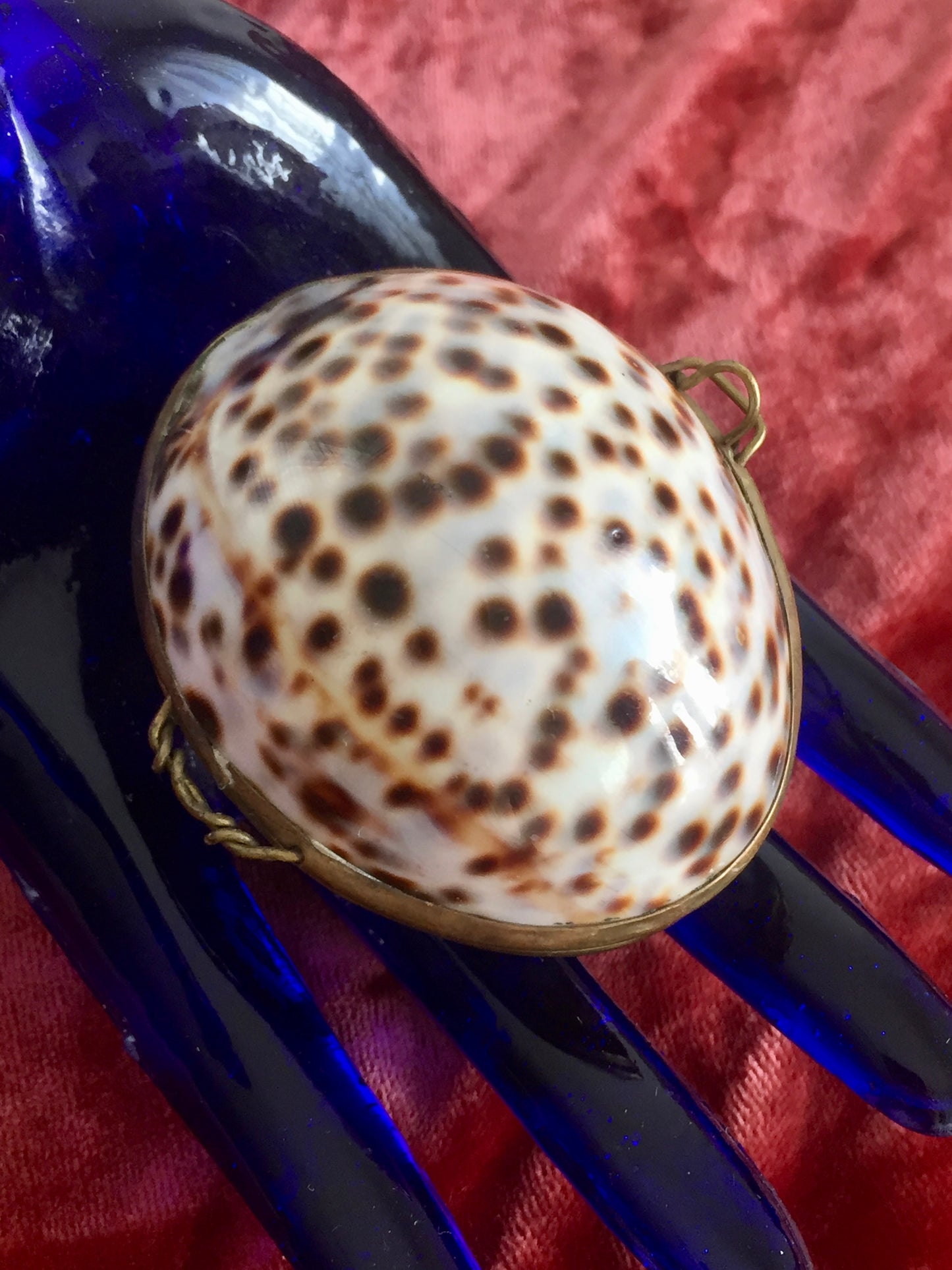 Antique Victorian Shell Coin Purse